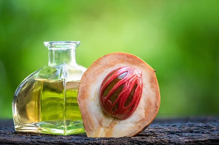 Wangi Nutmeg Seperti Apa? Ini Ciri dan Manfaatnya
