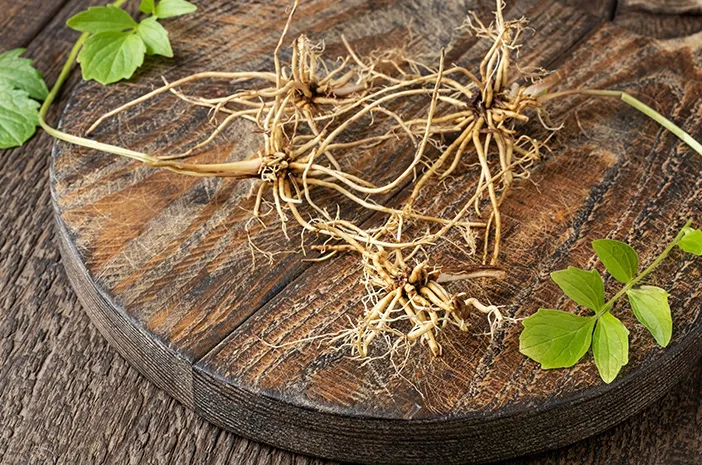 Manfaat Akar Valerian: Tidur Nyenyak dan Atasi Cemas