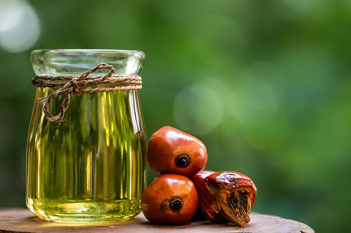 Manfaat Palm Oil untuk Tubuh dan Kehidupan Sehari-hari