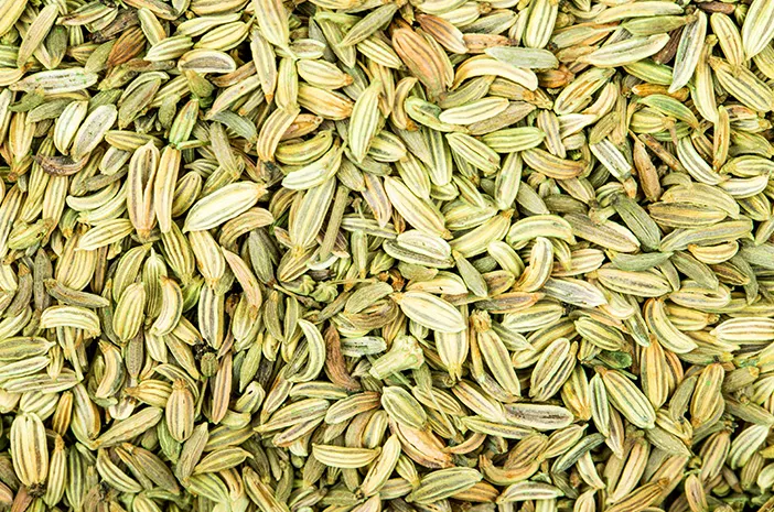 Fennel Seed: Kandungan Nutrisi dan Manfaatnya