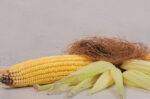 rambut jagung