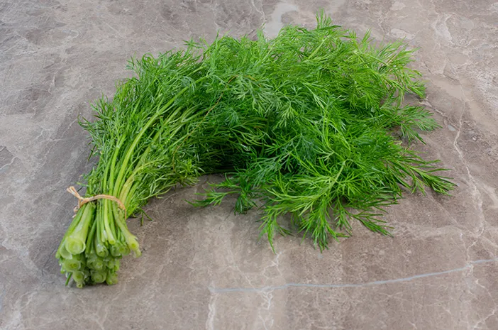 Daun Dill, Ini Manfaat Kesehatan untuk Tubuh