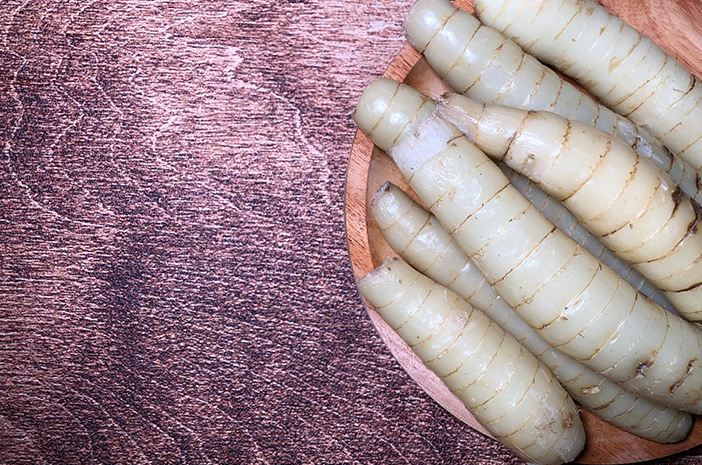 pati garut untuk asam lambung