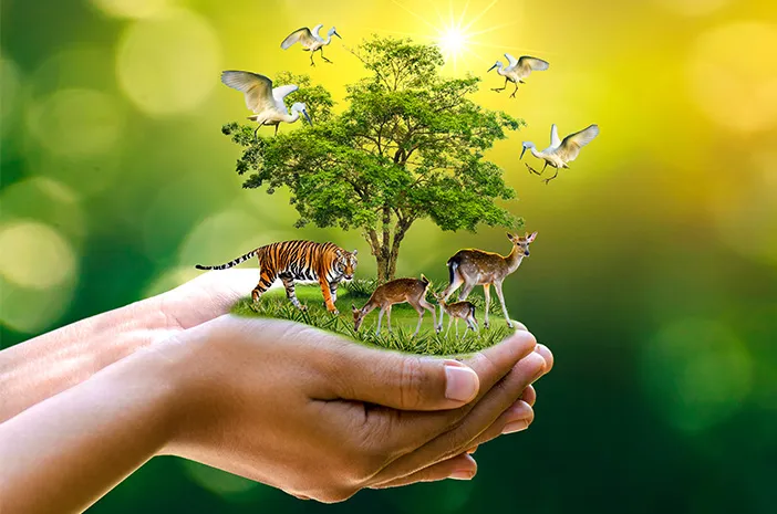 Ini Perbedaan Jaring-Jaring Makanan dengan Rantai Makanan