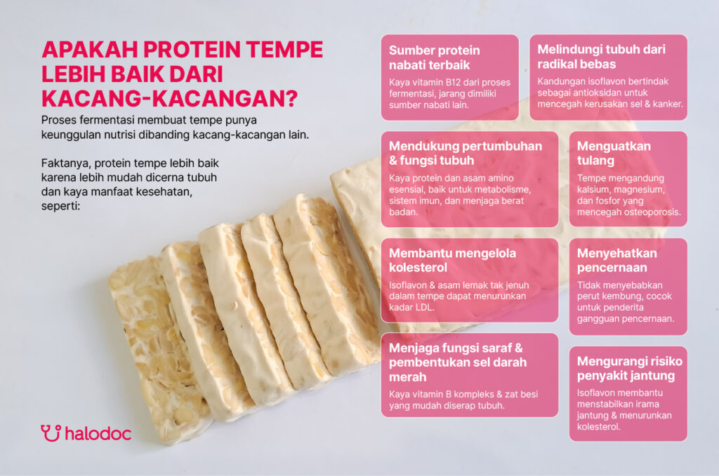 manfaat tempe