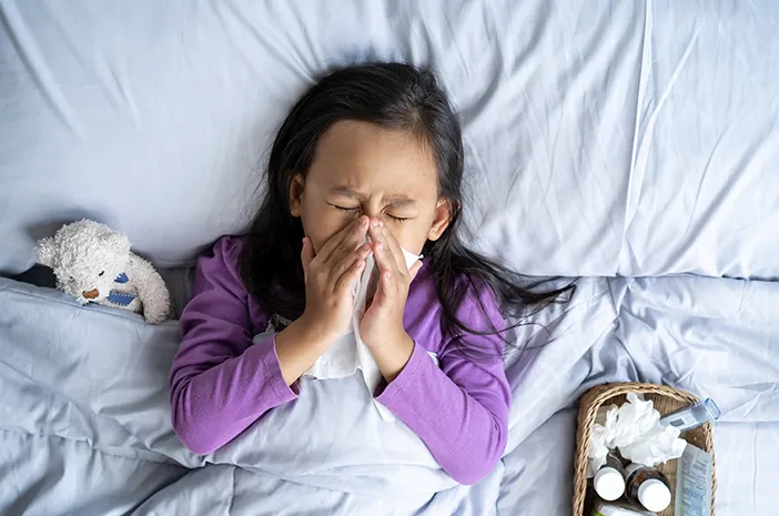 Begini Cara Mencegah Penularan Virus Influenza A