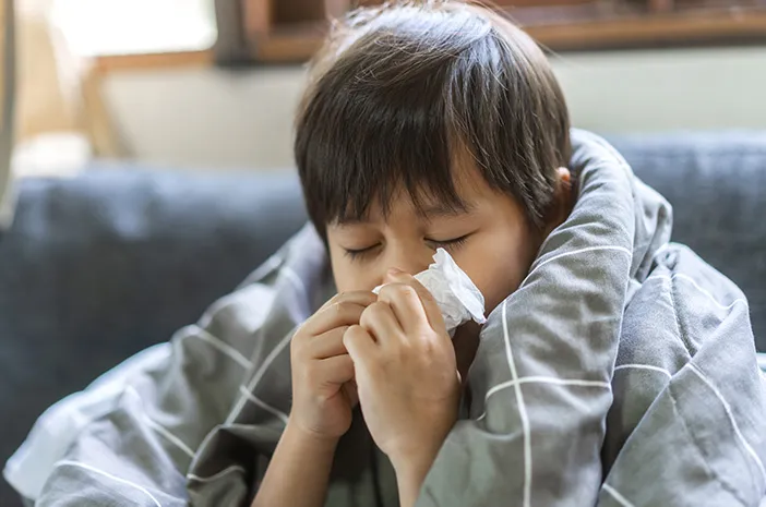 Mengenal Jenis Influenza A, B, C, D dan Gejalanya