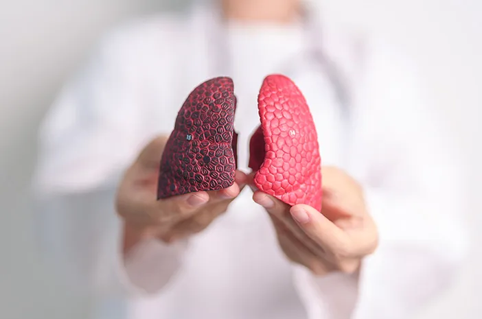 Ini Berbagai Fungsi Paru-Paru yang Wajib Diketahui