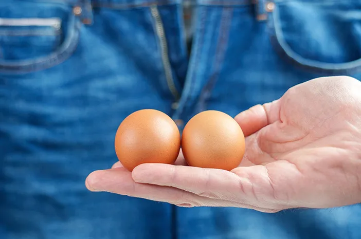 Testis Besar Sebelah, Normal atau Pertanda Penyakit?