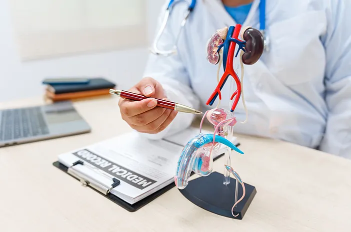 Penis Keluar Nanah? Ini Penyebab, Gejala Penyerta, dan Pengobatannya