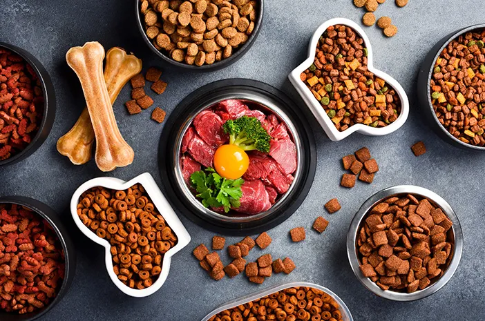 Variasi Makanan Sehat untuk Anjing agar Tidak Bosan