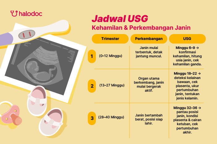 Jadwal USG Kehamilan