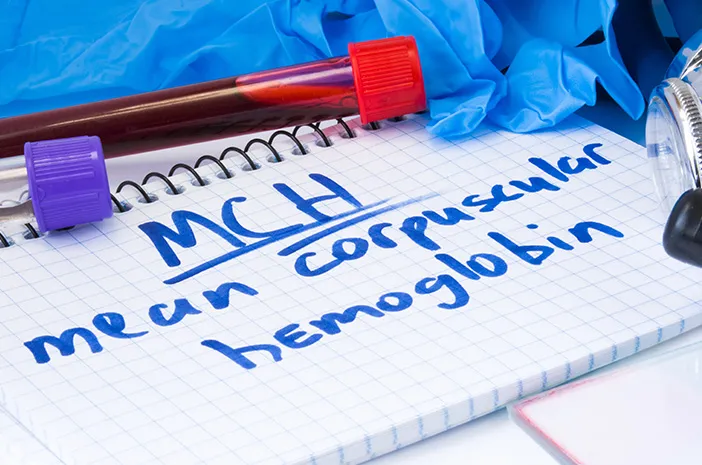 MCH adalah Indikator Kesehatan Darah, Ini Penjelasannya