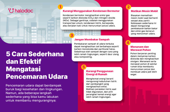 Ini 5 Cara Sederhana dan Efektif Mengatasi Pencemaran Udara