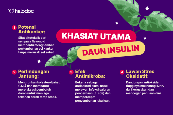 Khasiat Daun Insulin