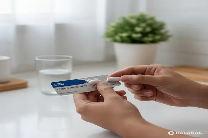 Ciprofloxacin 500 Mg Tablet: Obat Apa & Fungsinya?