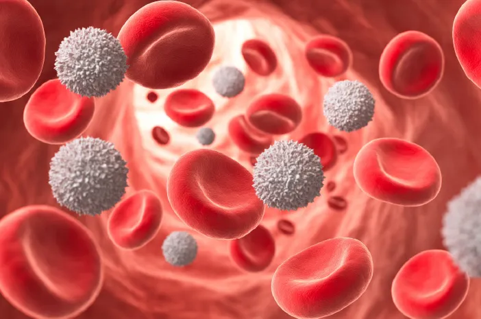 Kadar Leukosit Tinggi: Pertanda Penyakit Apa dan Kapan Harus Waspada?