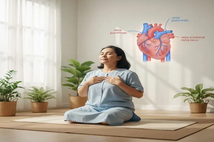 Vena Pulmonalis: Fungsi, Anatomi, & Peran Pentingnya