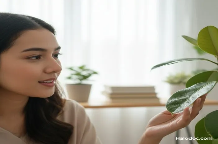 Tumbuhan Bernapas dengan Apa? Ini Jawabannya!