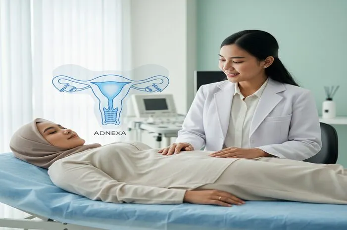 Adnexa: Kenali Struktur Penting di Sekitar Rahim