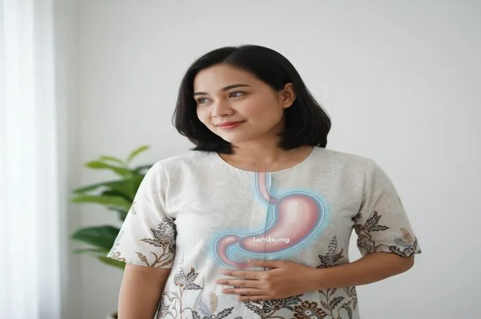 Letak Lambung Manusia: Posisi & Organ Sekitar