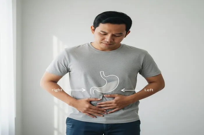 Lambung Kanan atau Kiri: Posisi & Penyebab Nyeri