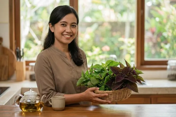 Simak Manfaat Daun Miana untuk Batuk dan Darah Tinggi