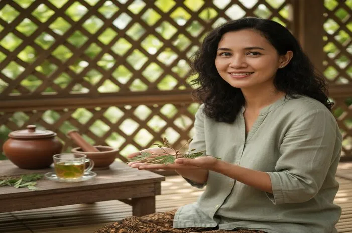 Khasiat Daun Putri Malu: Atasi Diare, Luka & Insomnia