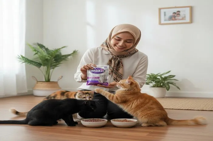 Whiskas Makanan Kucing: Nutrisi Lengkap & Harga Terbaik!