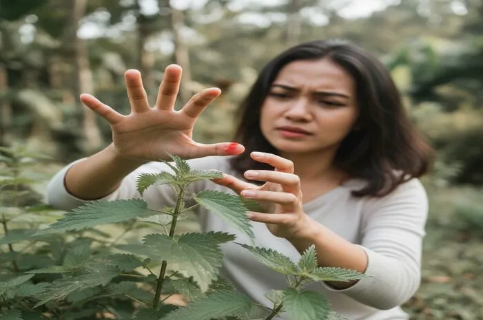 Bahaya Daun Jelatang: Gatal, Alergi, & Cara Aman!
