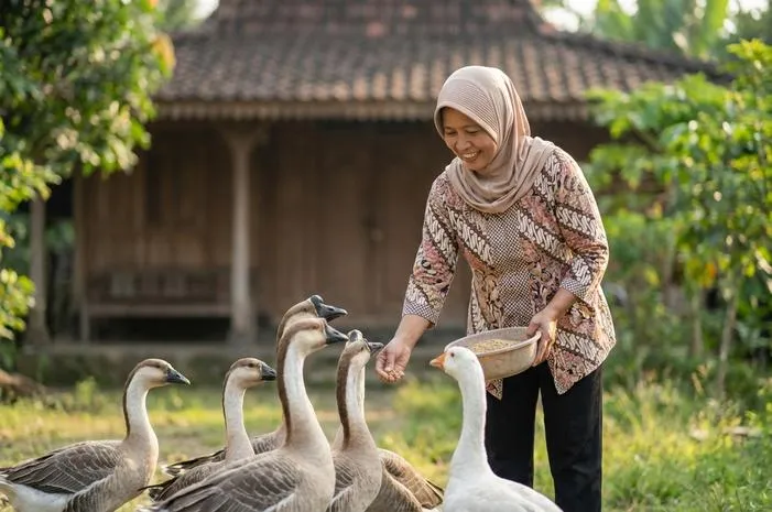 Soang: Kenali Fakta Unik & Perbedaannya dari Angsa