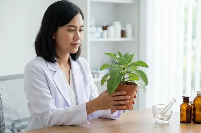 Cocor Bebek Alat Medis: Fungsi, Jenis, & Ukuran