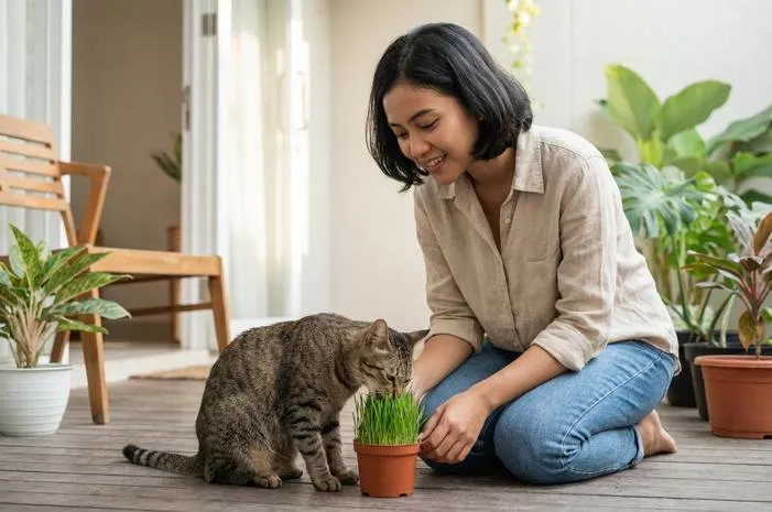 Kenapa Kucing Makan Rumput? Ini Alasannya!