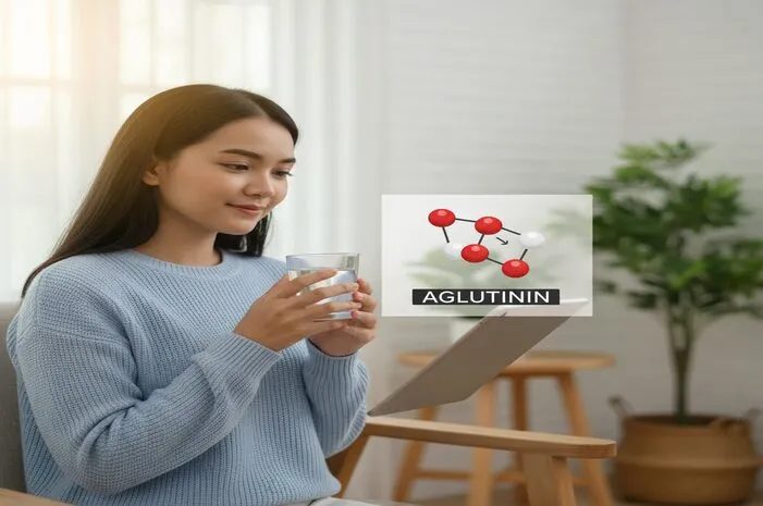 Aglutinin: Pengertian, Fungsi, dan Jenisnya