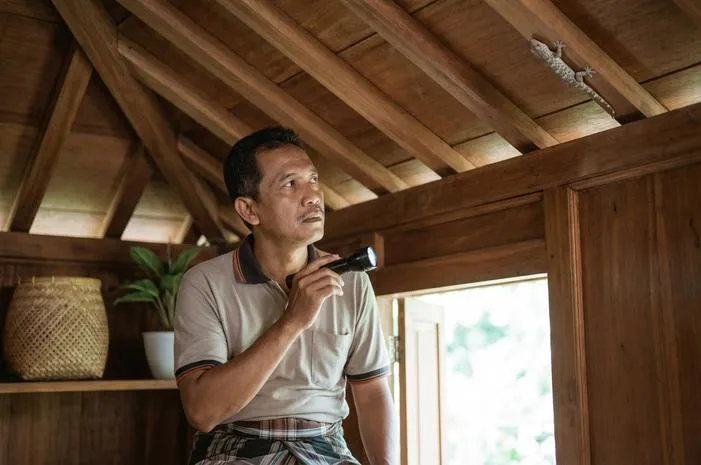 Cara Mengusir Tokek di Atap Rumah Pakai Bahan Alami