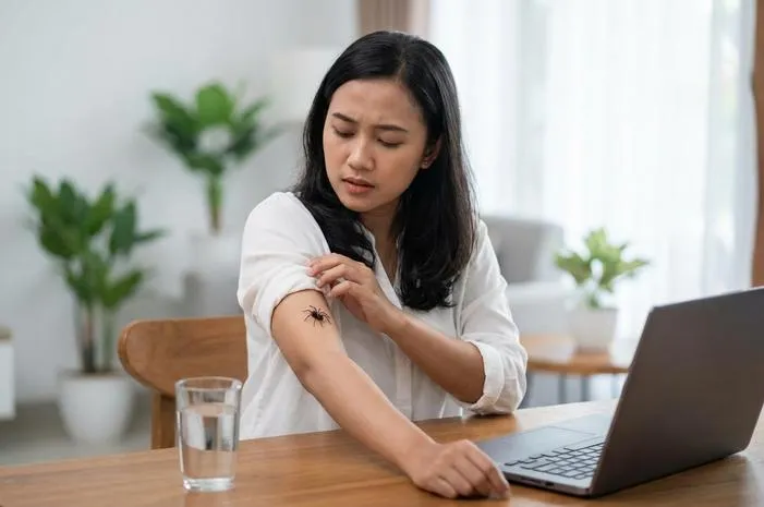 Kenali Laba Laba Hitam di Rumah dan Bahaya Gigitannya