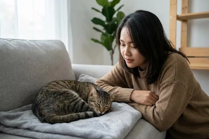 Kenali Makna Unik di Balik Berbagai Posisi Tidur Kucing