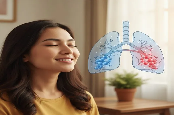 Fungsi Alveoli: Proses Penting di Paru-Paru