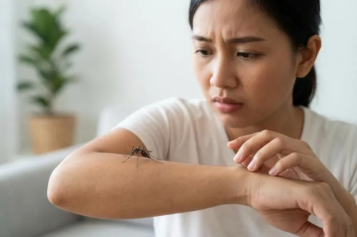 Nyamuk Besar Apakah Berbahaya? Ini Faktanya!