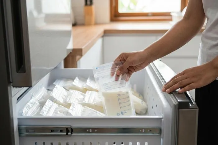 Freezer ASI: ASI Awet hingga 12 Bulan, Stok Aman!