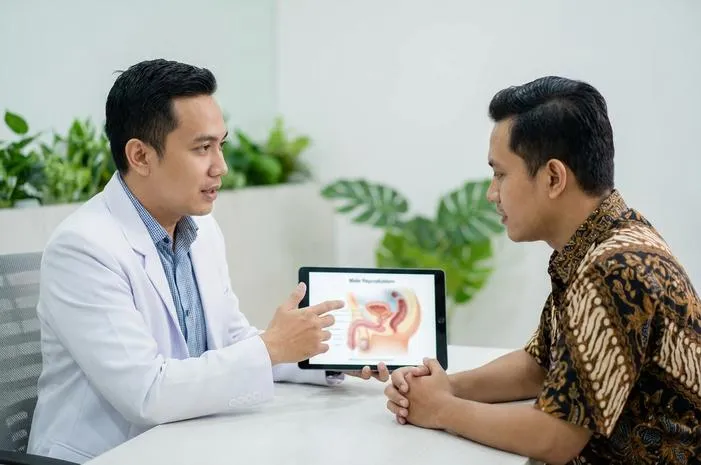 Organ Reproduksi Pria: Identifikasi dan Fungsinya