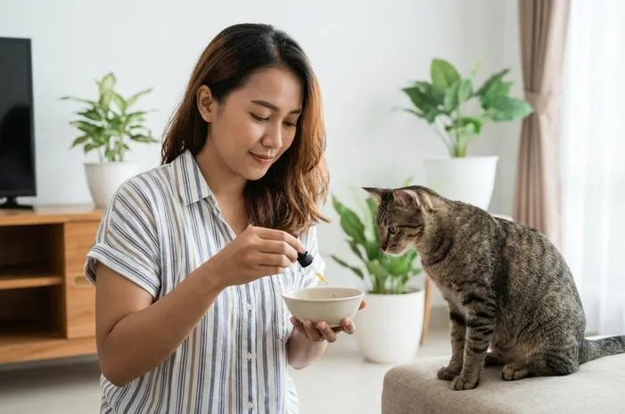 Vitamin untuk Kucing: Sehat, Lincah dan Bulu Lebat!
