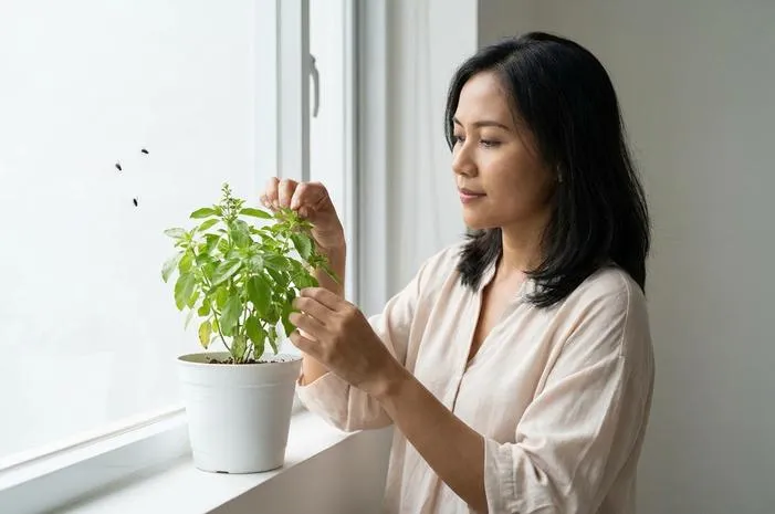 Tanaman Pengusir Lalat: Ampuh dan Alami!