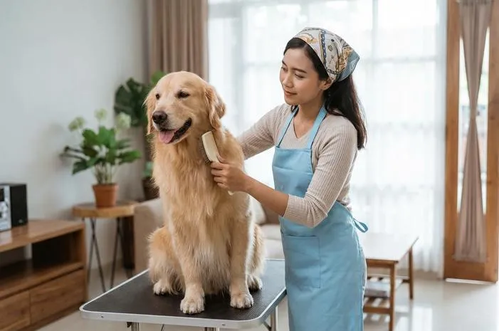 Grooming Anjing Mudah: Jaga Anjing Sehat, Bersih, Wangi!