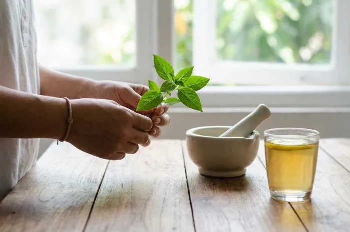 Ocimum Basilicum: Kemangi, Enak untuk Lidah, Sehat untuk Tubuh