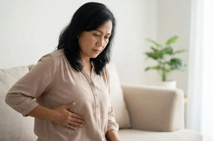 Tulang Rusuk Dimana Letaknya? Fungsi dan Jenisnya Lengkap