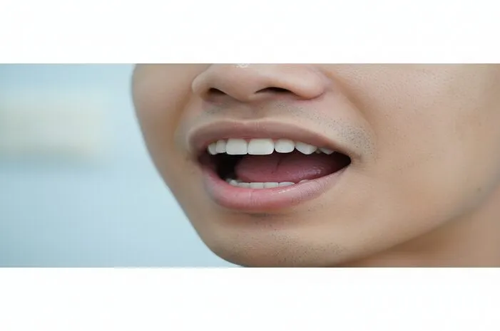 Mengenal Struktur Mulut Manusia Beserta Fungsi Pentingnya