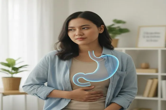 Pengertian Lambung: Fungsi dan Bagian Pentingnya
