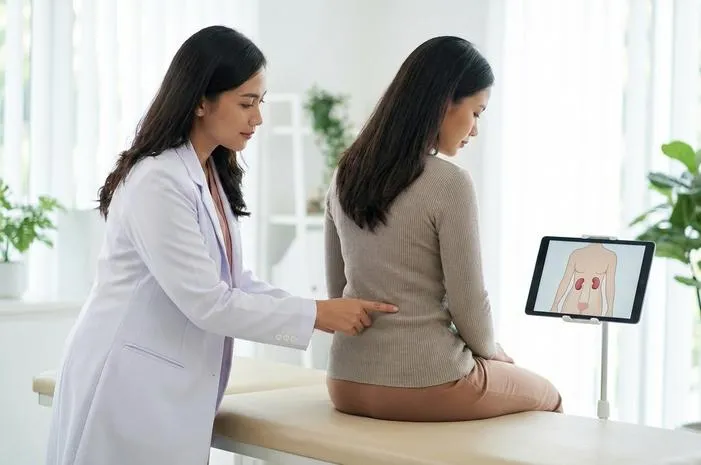 Posisi Ginjal dalam Tubuh: Letak dan Fungsi Pentingnya