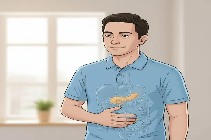 Letak Pankreas di Sebelah Mana? Posisi dan Organ Sekitar